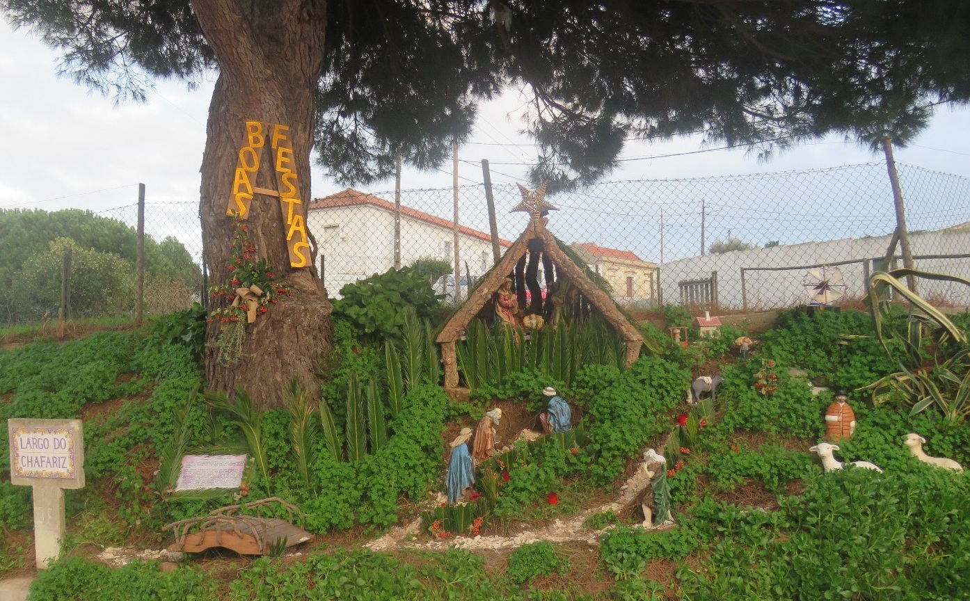 Grupo de Moradores da Sevilheira - Foto Diurna