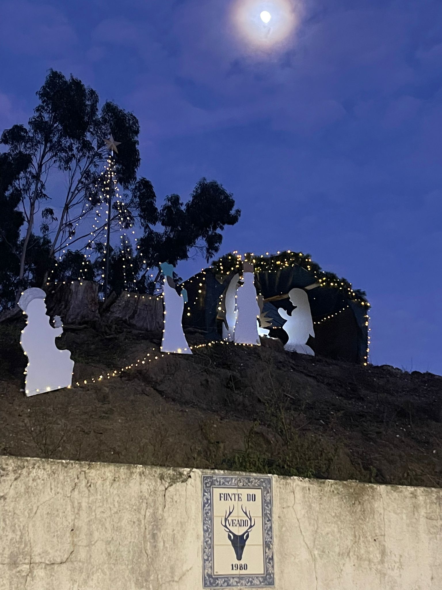 Carlos Loureiro - Foto Diurna